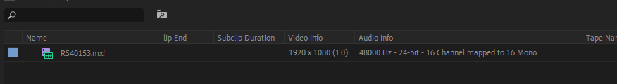 How source file (pre-workflow) is shown in Premiere - 16 channel mapped to 16 mono
