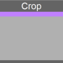 crop_f.png